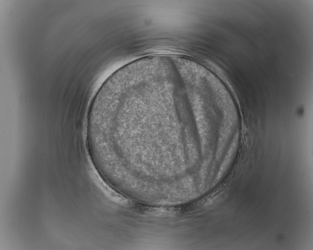 X0000111921195200908171317