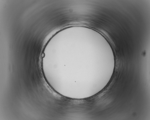 X0000111921196200908171317