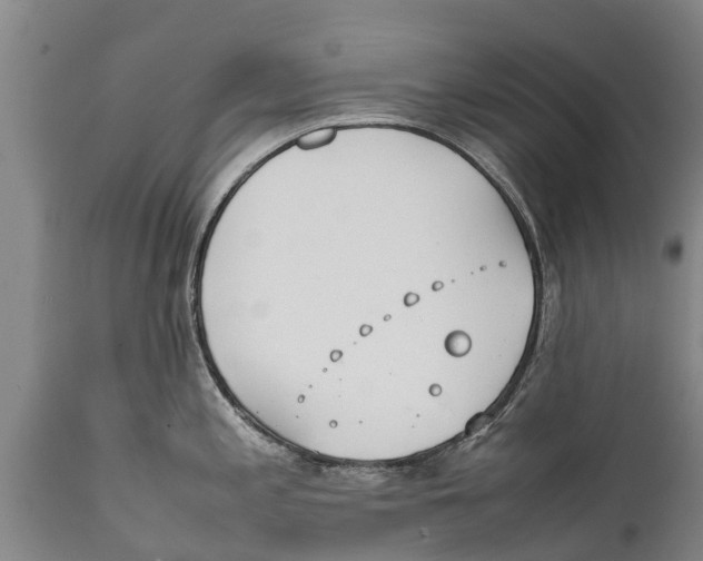 X0000111921197200908171317