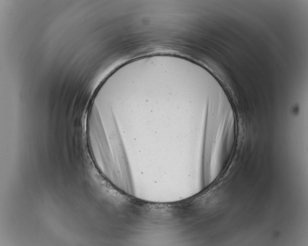 X0000111921198200908171317