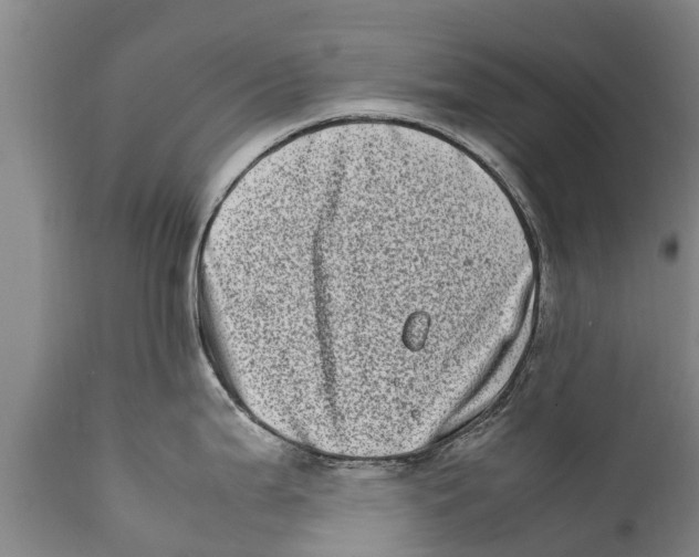 X0000111921199200908171317