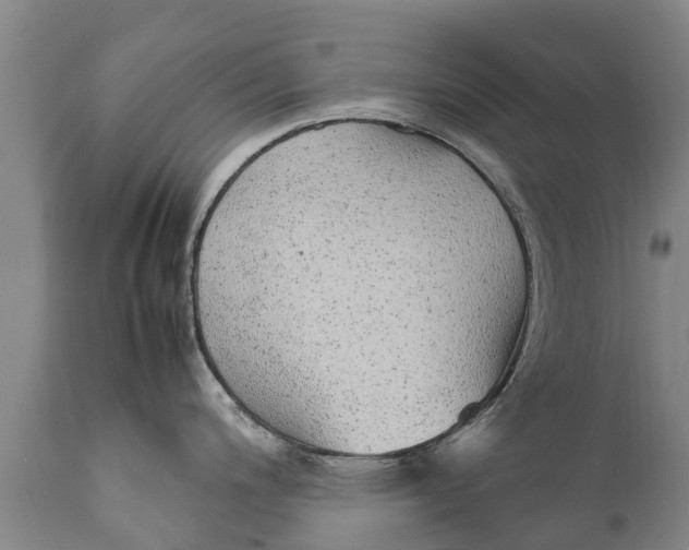 X0000111921200200908171317