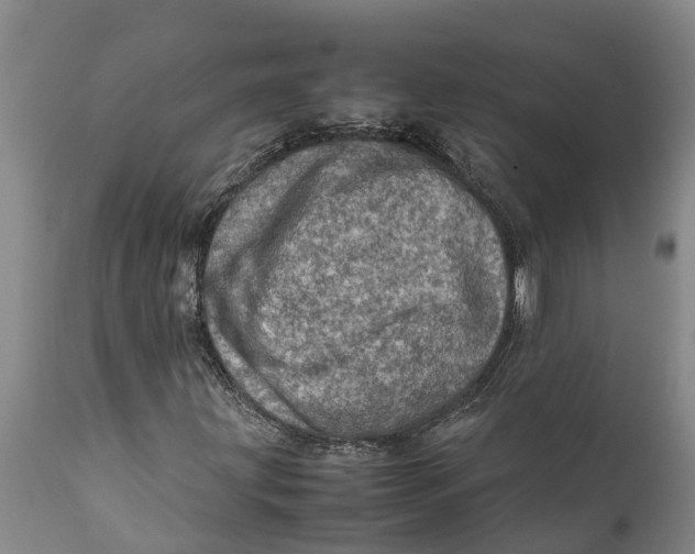 X0000111921203200908171316