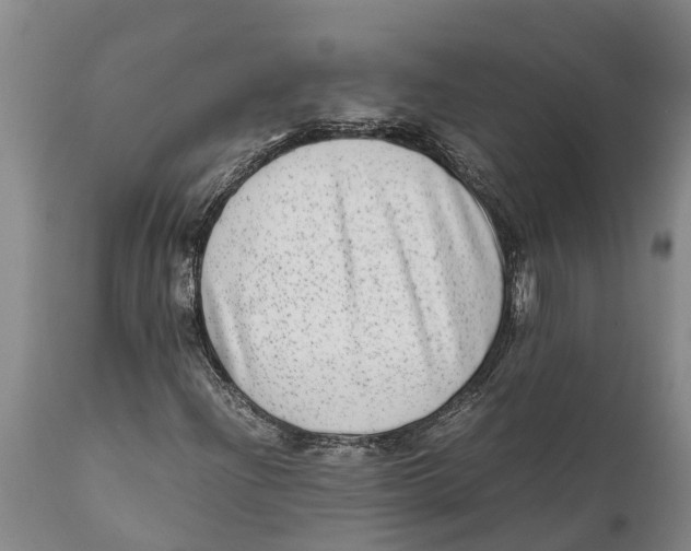 X0000111921204200908171316