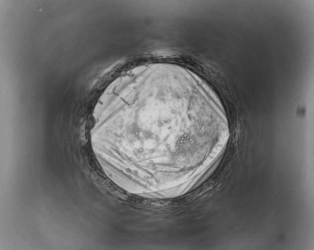 X0000111921205200908171316