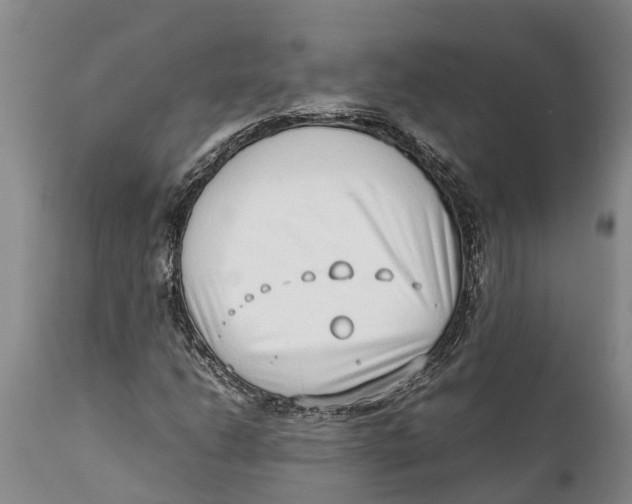 X0000111921206200908171316