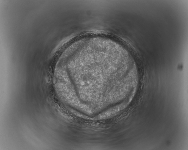 X0000111921207200908171316