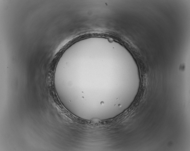 X0000111921208200908171316