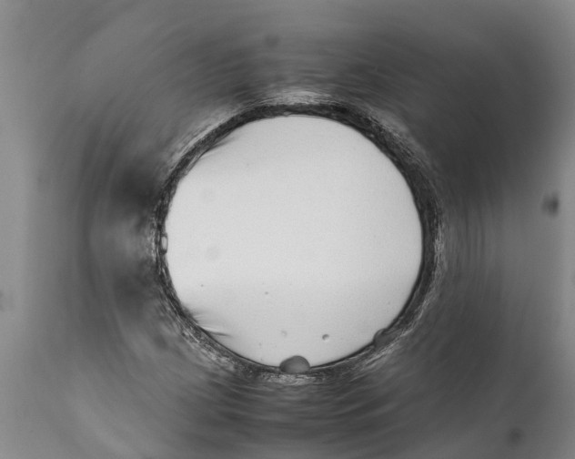 X0000111921209200908171316