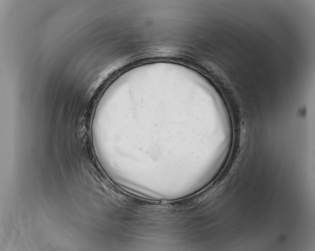 X0000111921210200908171316