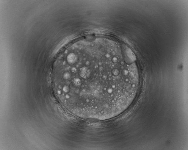 X0000111921211200908171316