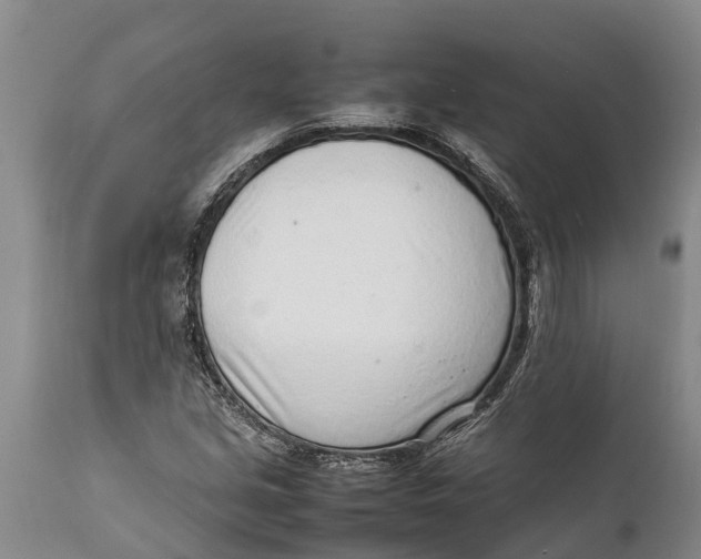 X0000111921213200908171316