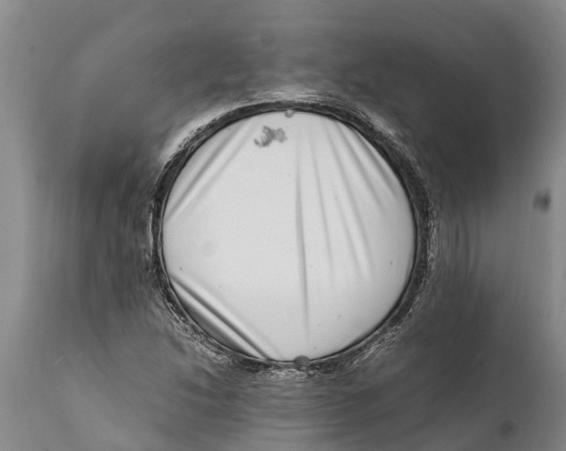 X0000111921214200908171316