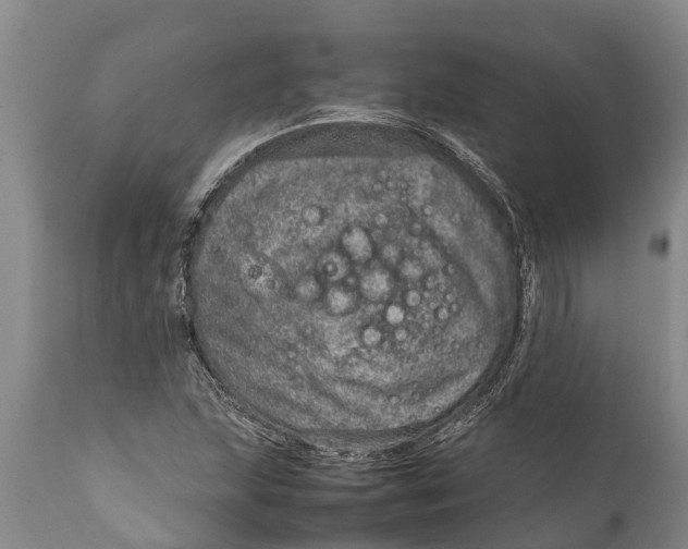 X0000111921215200908171316