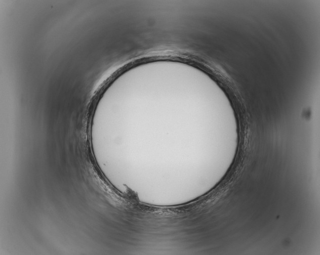 X0000111921216200908171316