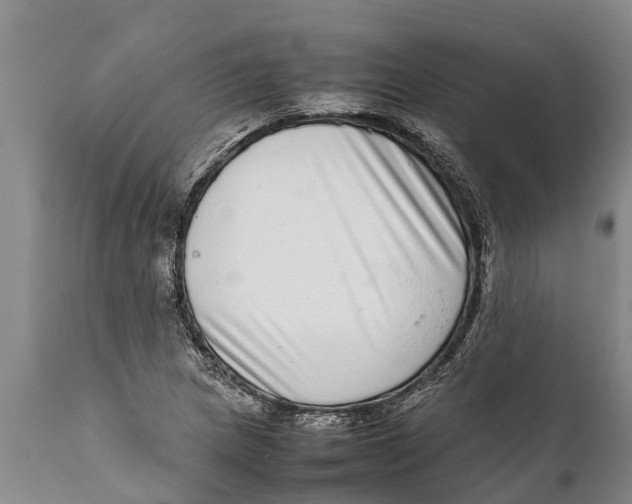 X0000111921217200908171317