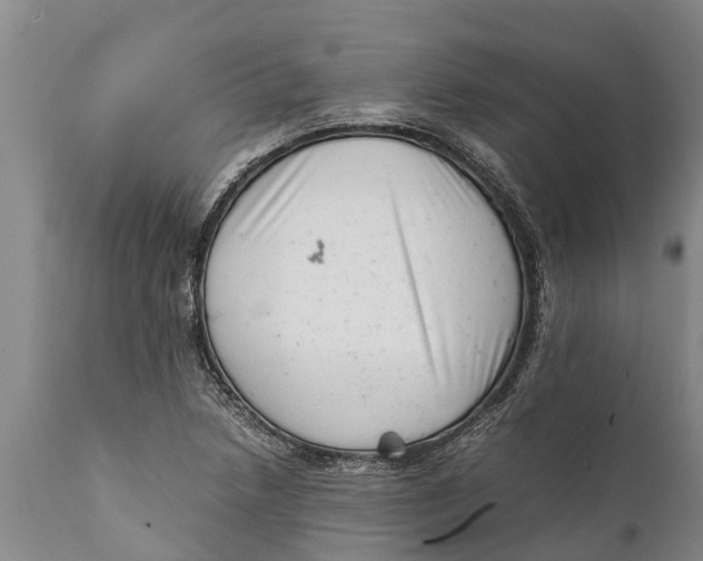 X0000111921218200908171317