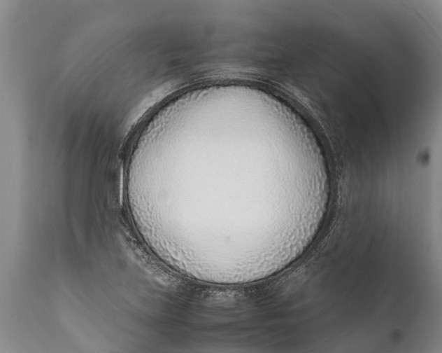 X0000111921219200908171317