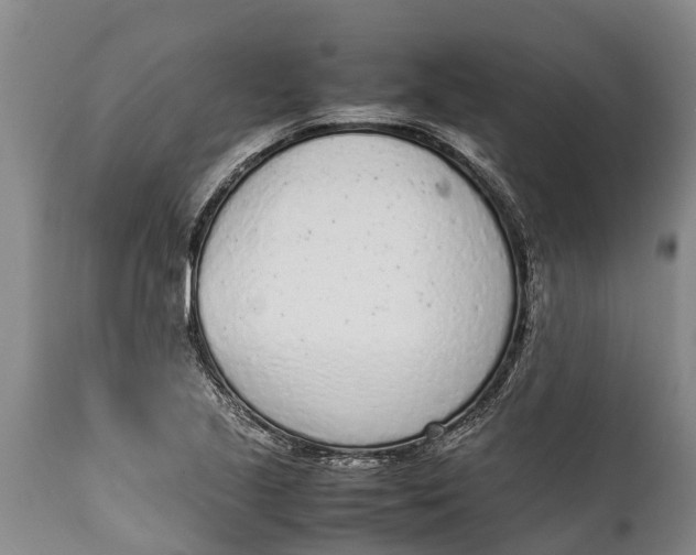 X0000111921221200908171317