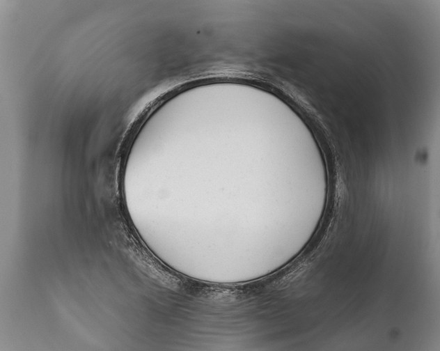 X0000111921222200908171317