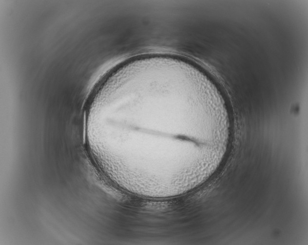 X0000111921223200908171317