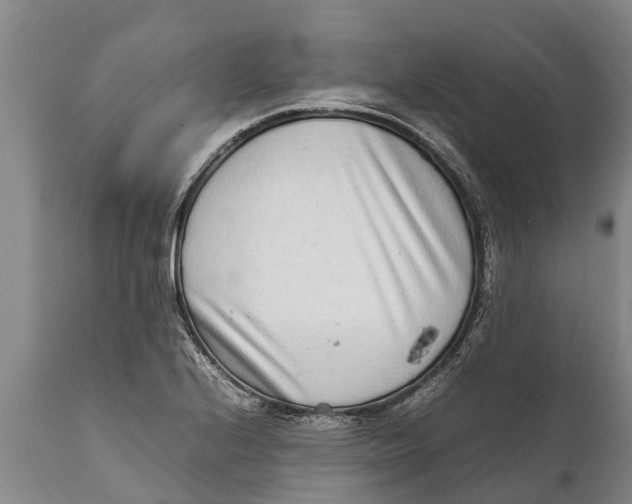 X0000111921224200908171317