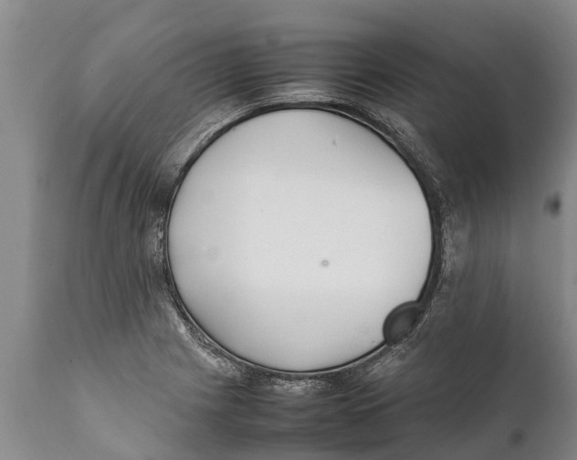 X0000111921225200908171317