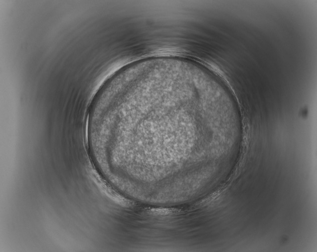 X0000111921227200908171317