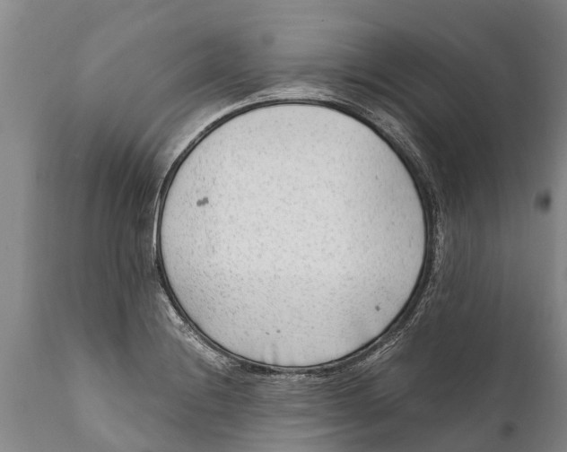 X0000111921228200908171317