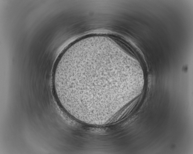 X0000111921229200908171317