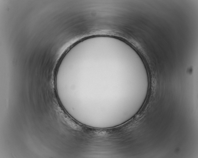 X0000111921230200908171317