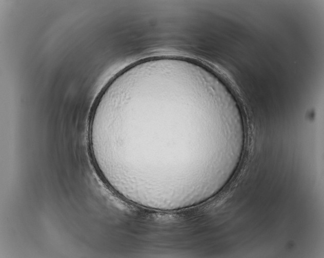 X0000111921231200908171317