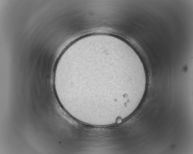 X0000111921232200908171317