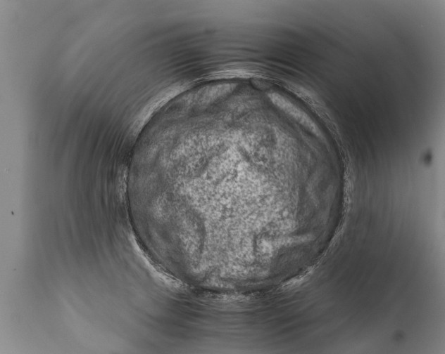 X0000111921233200908171317