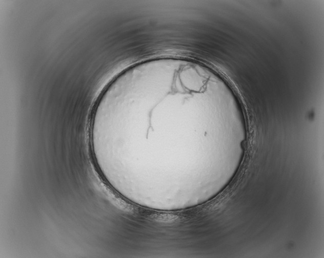 X0000111921235200908171317