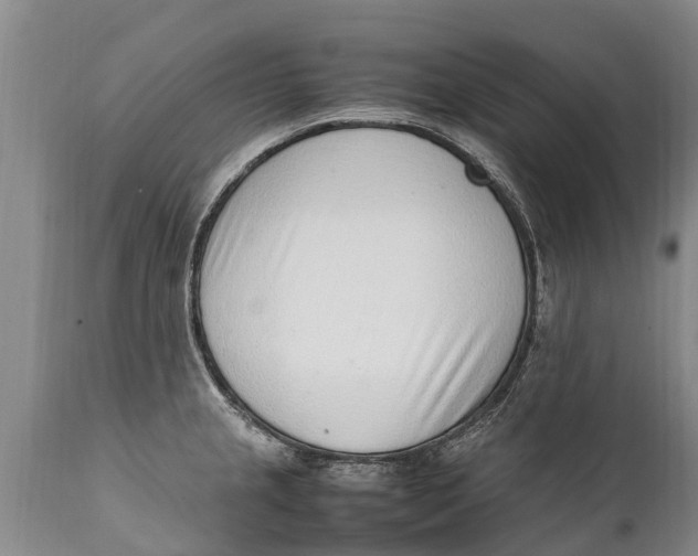 X0000111921237200908171317