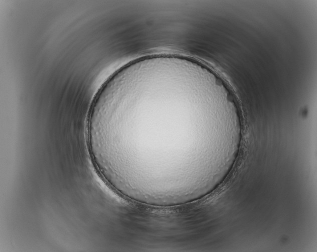 X0000111921239200908171317