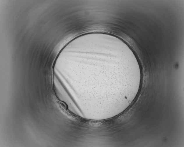 X0000111921242200908171317