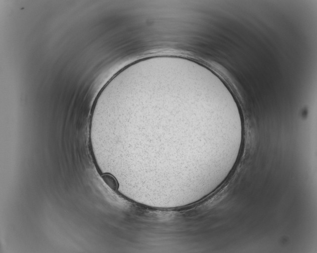 X0000111921244200908171317