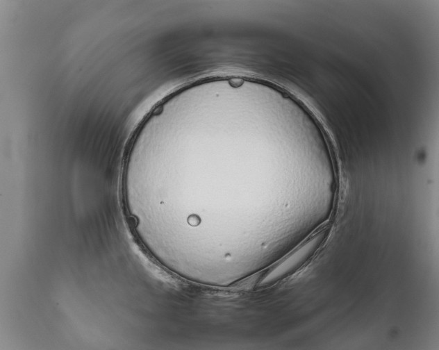 X0000111921245200908171317