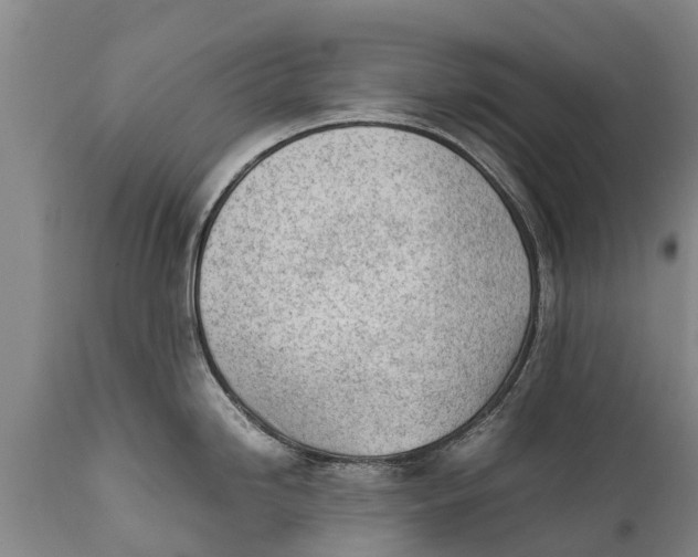 X0000111921246200908171317