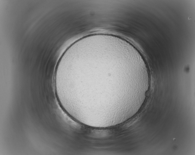 X0000111921247200908171317