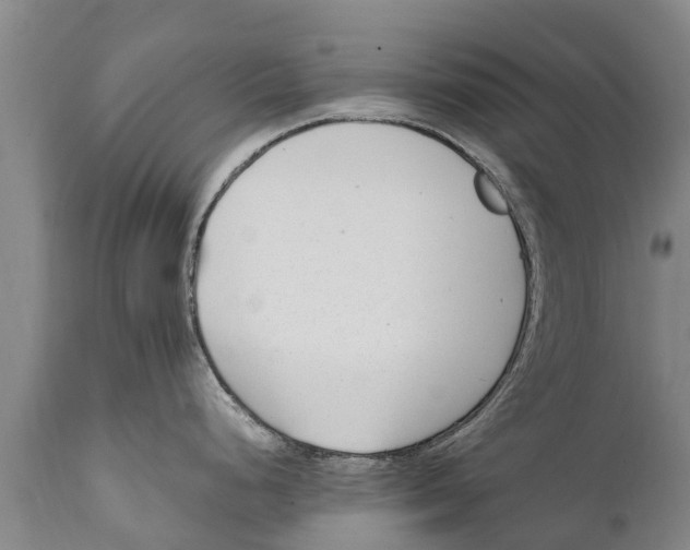 X0000111921248200908171317