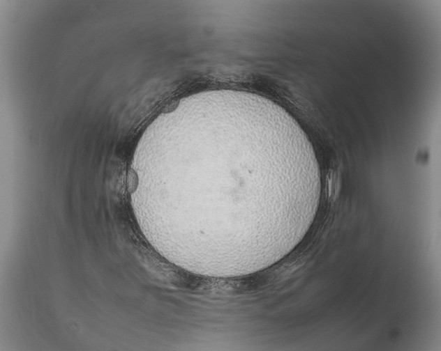 X0000111921251200908171316