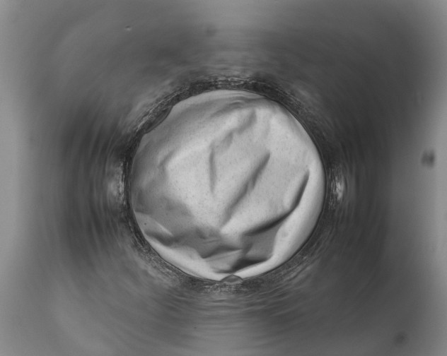 X0000111921252200908171316