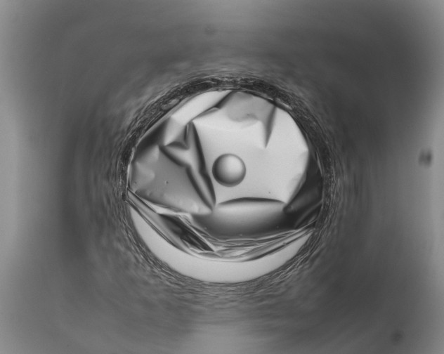 X0000111921253200908171316