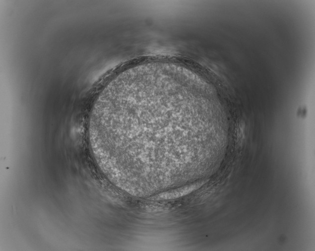 X0000111921254200908171316