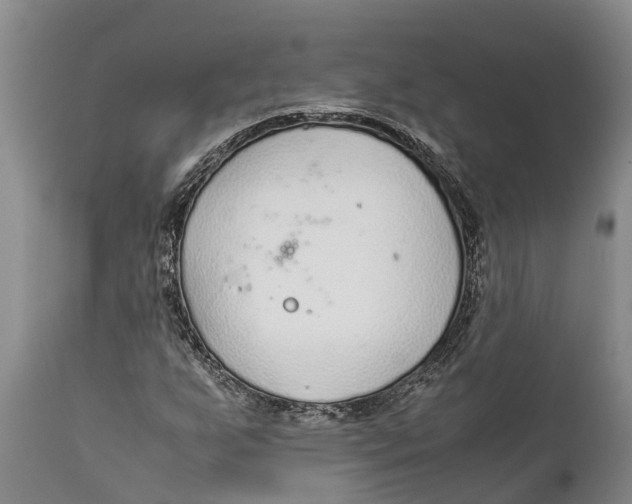 X0000111921255200908171316