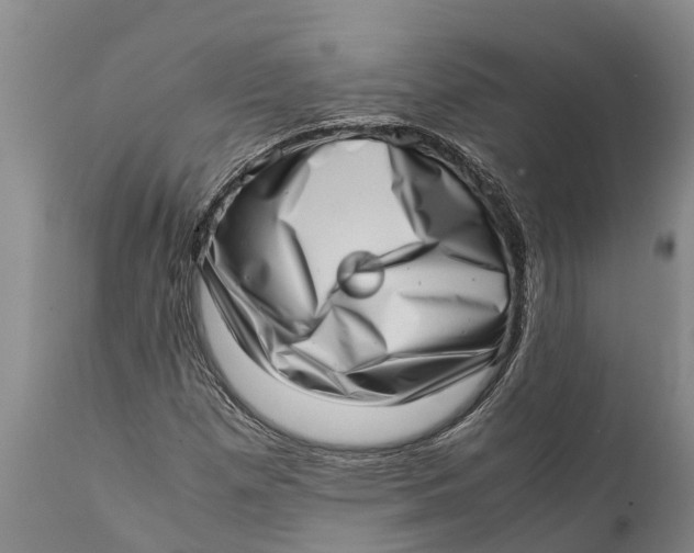 X0000111921257200908171316