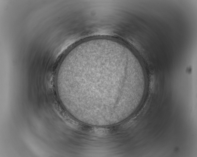 X0000111921258200908171316